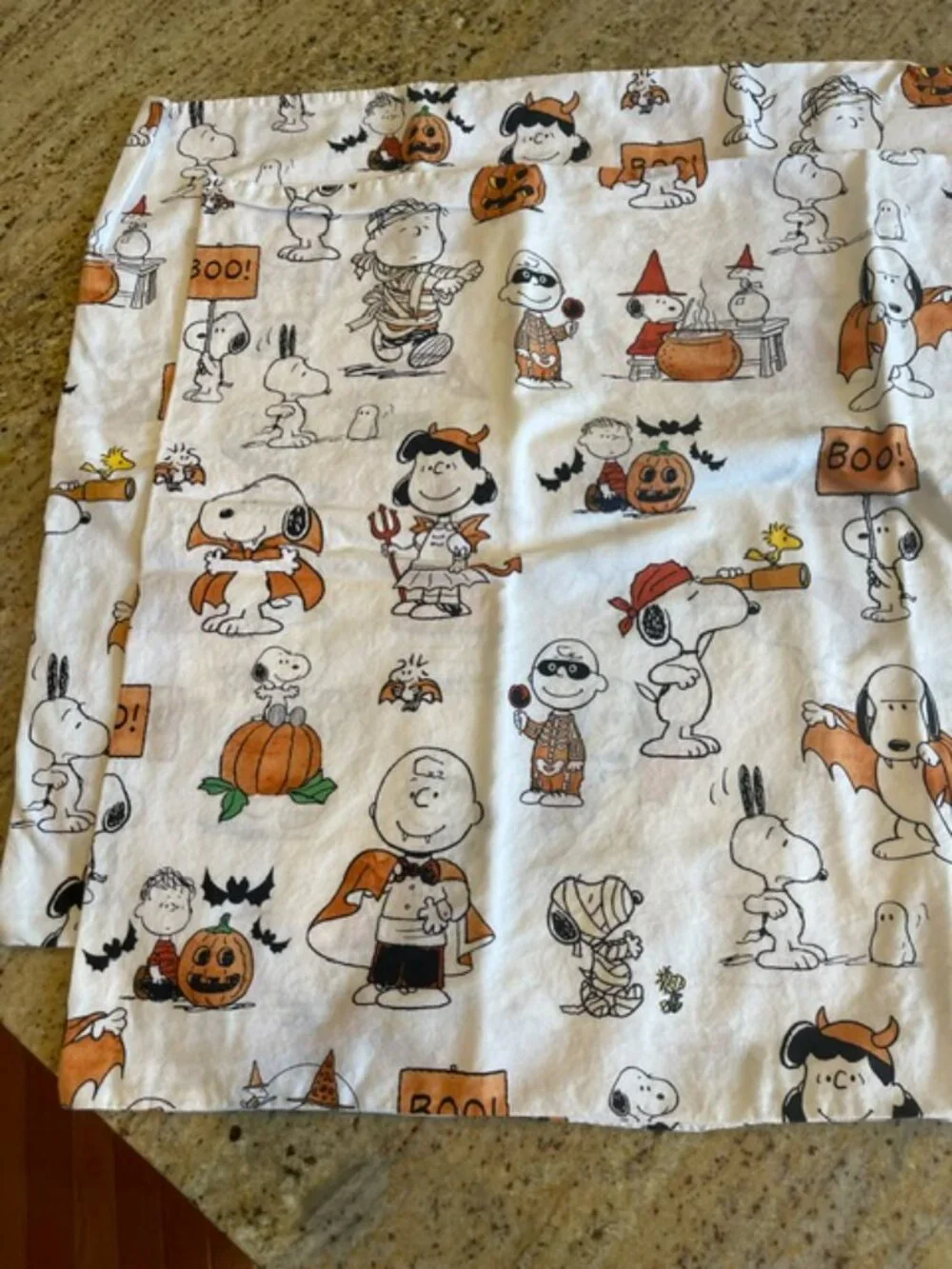 Pottery Barn Kids Peanuts Organic Cotton Snoopy Halloween Pillowcases Set